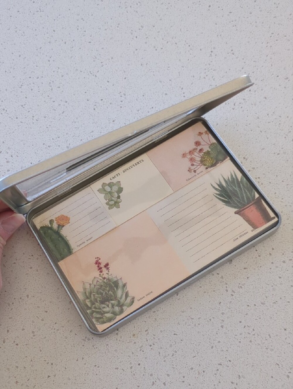 Succulent Pencil Set & Sticky Notes Tin - Floral Green - Picture 8 of 9